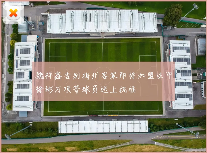 魏祥鑫告别梅州客家即将加盟法甲徐彬万项等球员送上祝福